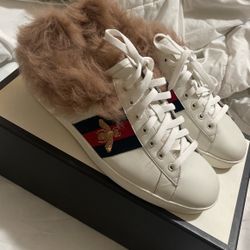 Gucci Sneaker Size 11 