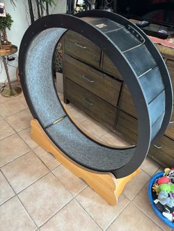 Large Cat Exercise Wheel with Wood Base