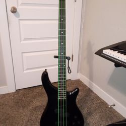 Rogue Bass