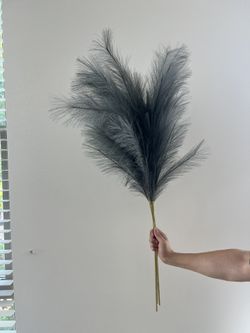 Pampas