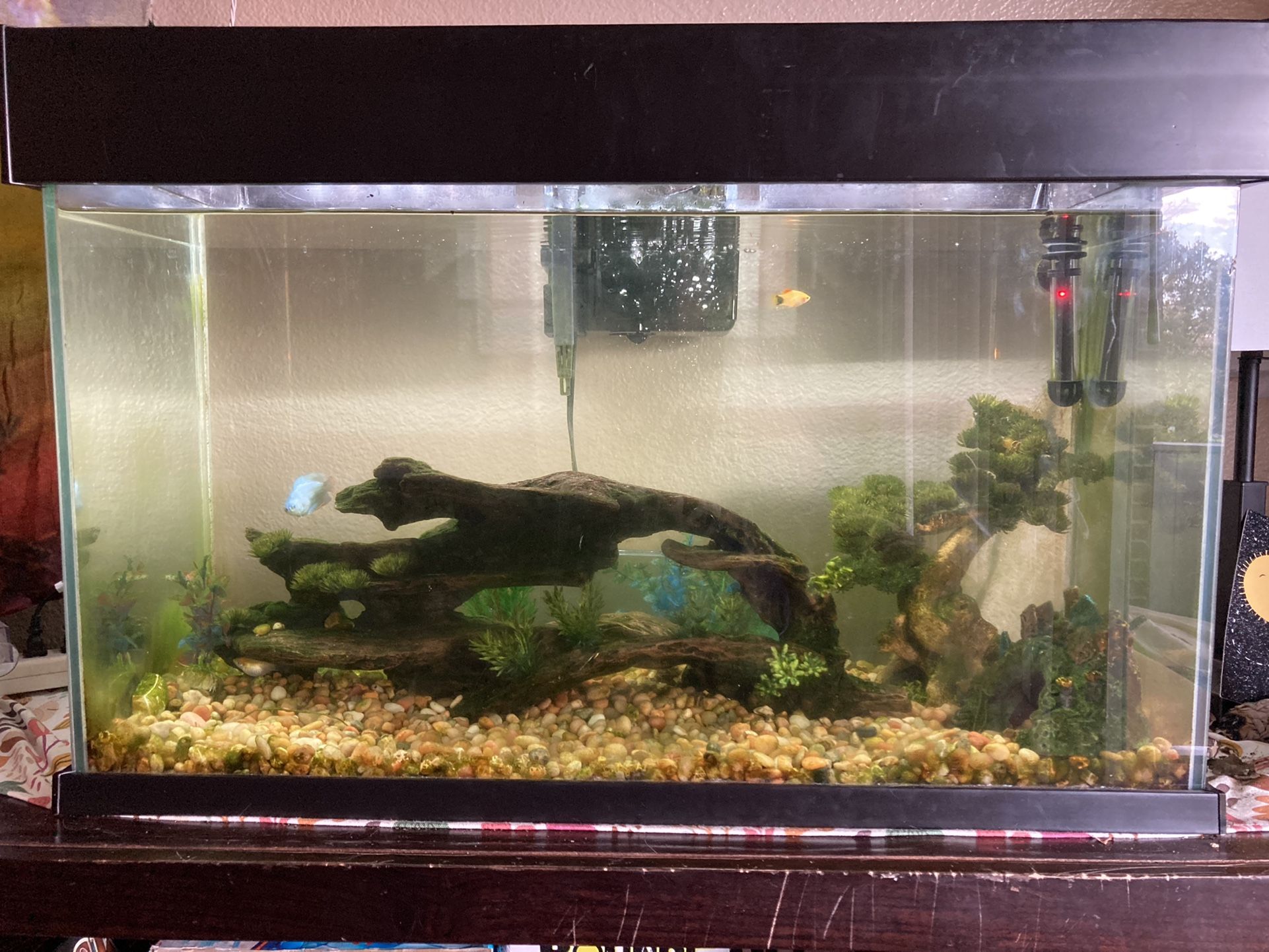 Fish Tank with All Accessories 