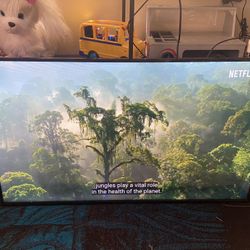 samsung dm40e