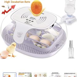 Fertile Eggs Incubator 