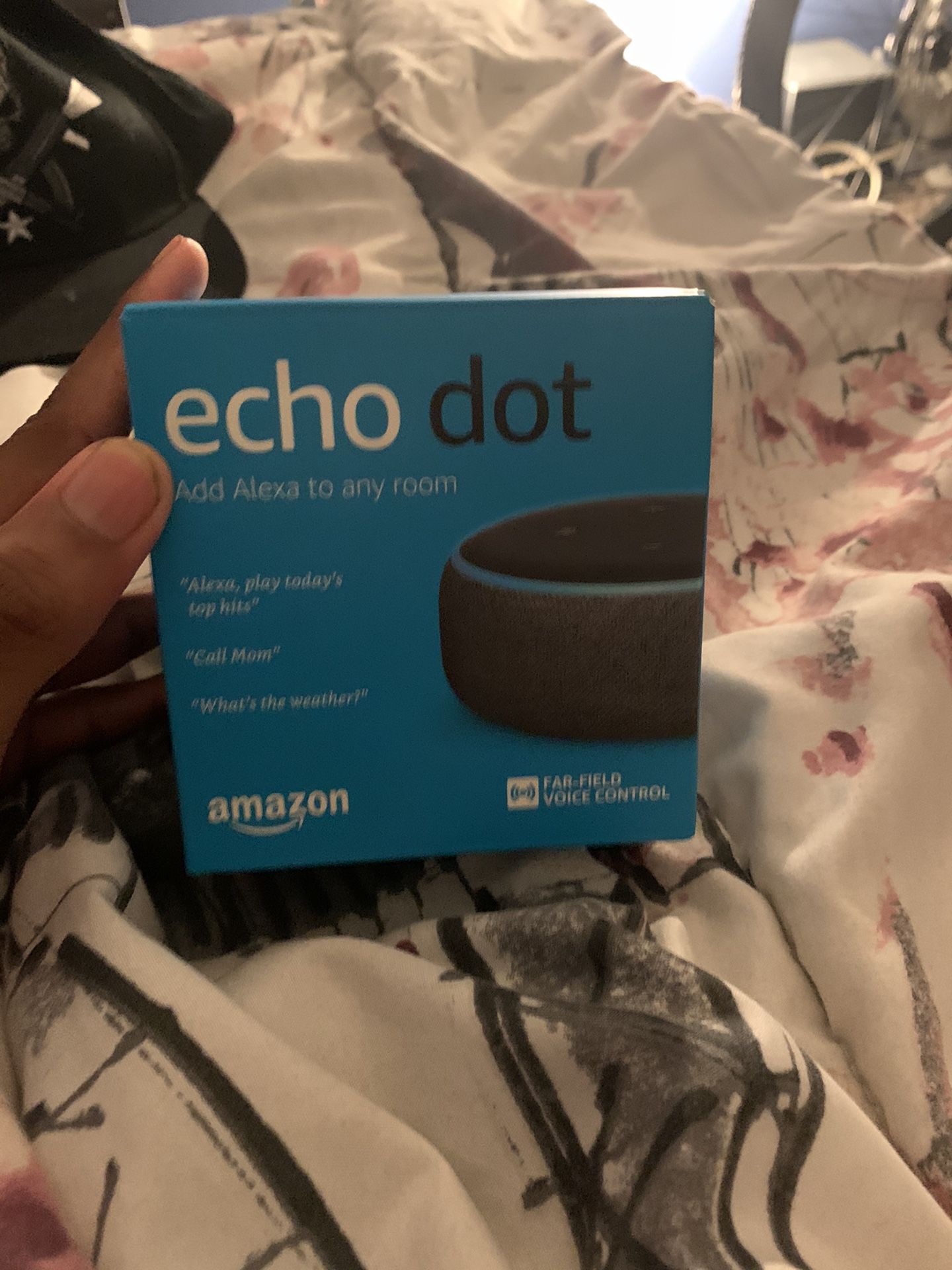Echo dot Alexa