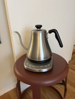 Electric Gooseneck Kettle