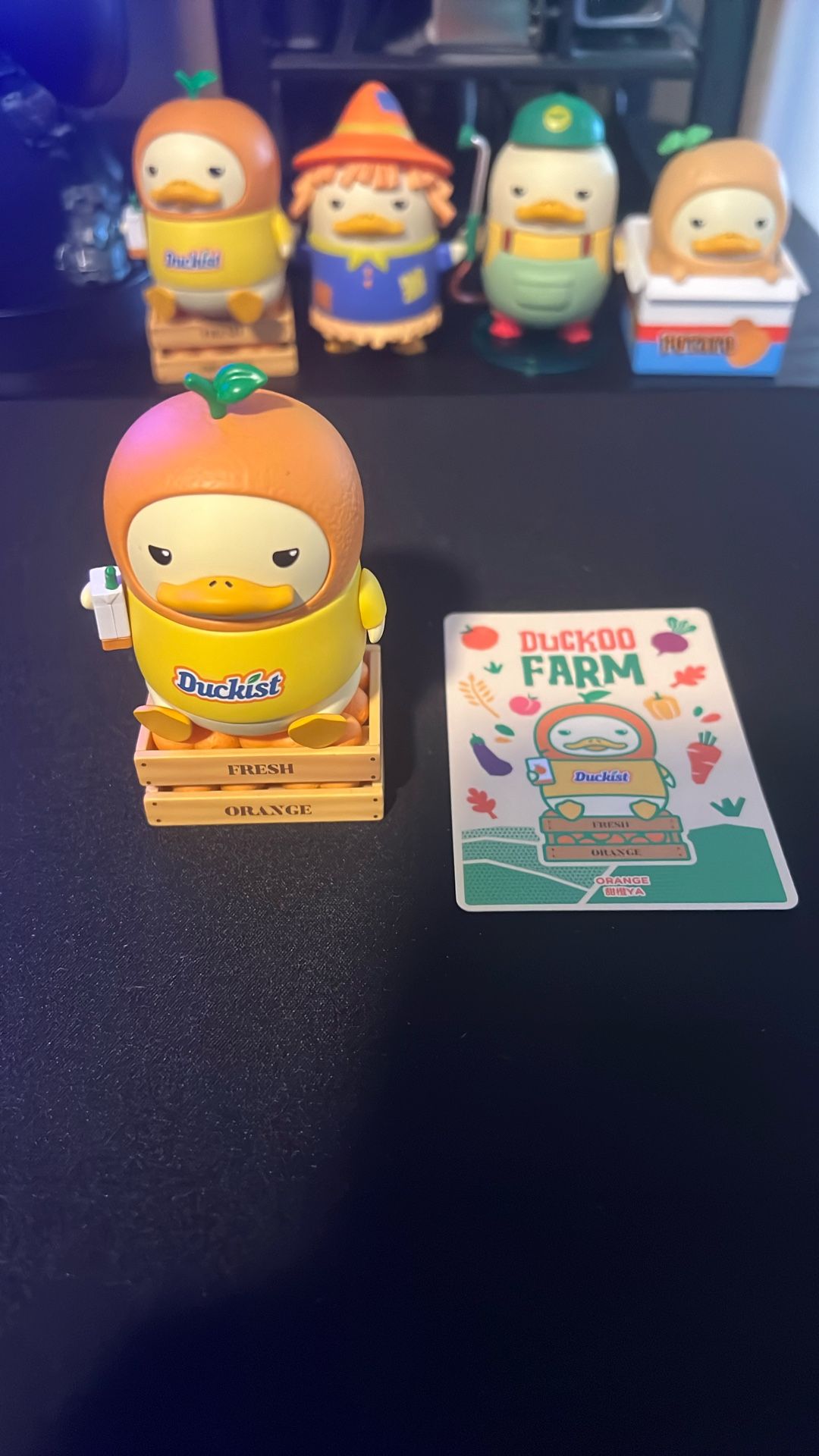 Pop Mart Duckoo Farm