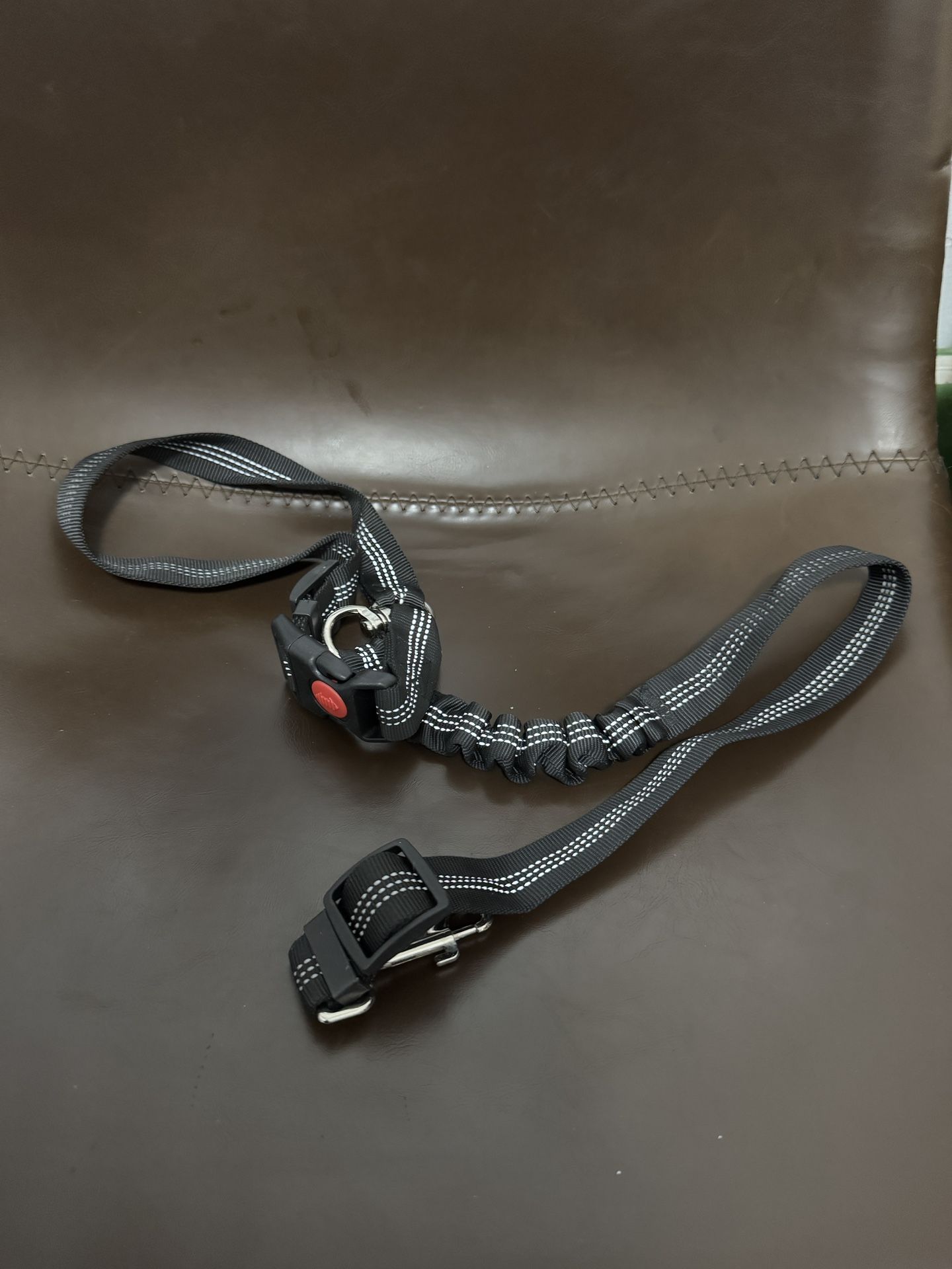Dog Leashes