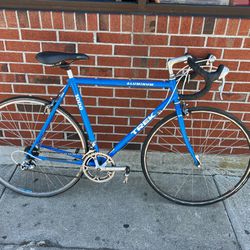 Trek 1000 Vintage 6061-T6 Road Bicycle, Blue
