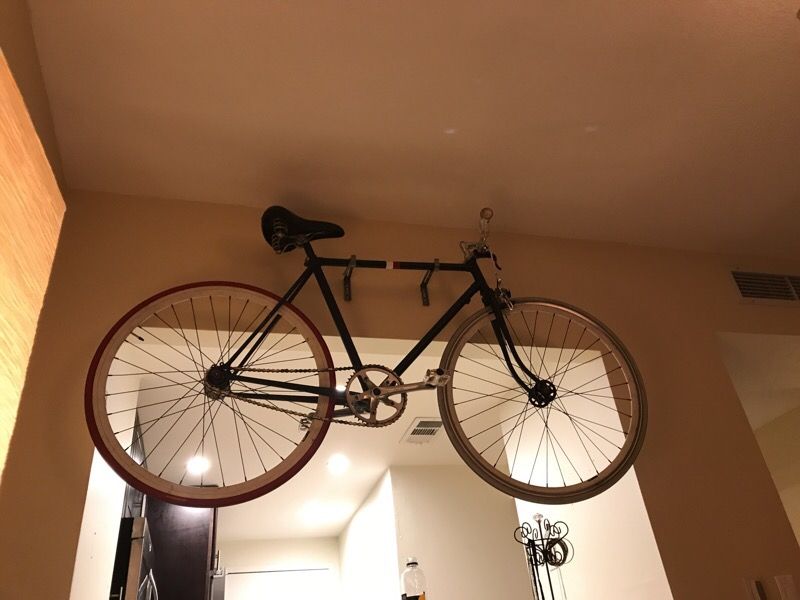 Straight bar, fixed chain euro bike