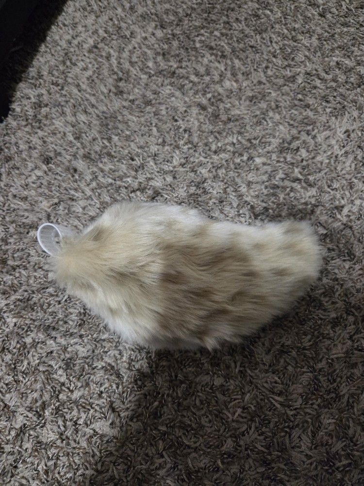 Bunny/Sabertooth Tail