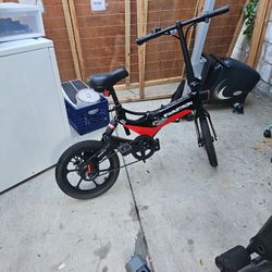 Electric Bike