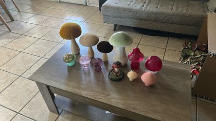 Mushroom 🍄 Collection