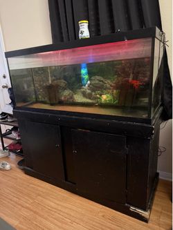 75 gallon fish tank