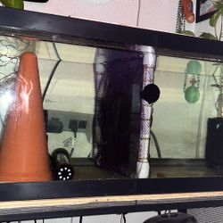 20 Gallon Long Tank And Stand 
