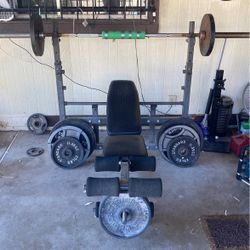 Weight Bench And Weights