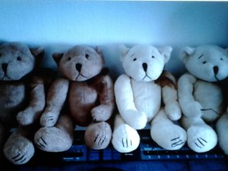 Stuffed animal bears