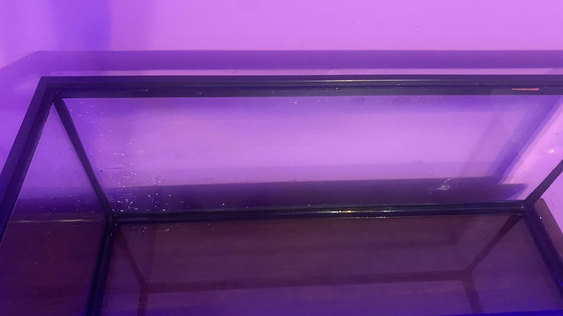 Tank For Aquatic And Reptilian Animals