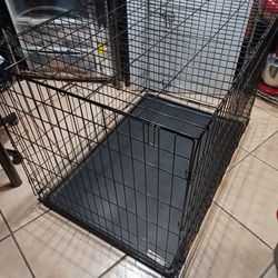 Large Single Door Foldable Dog Crate