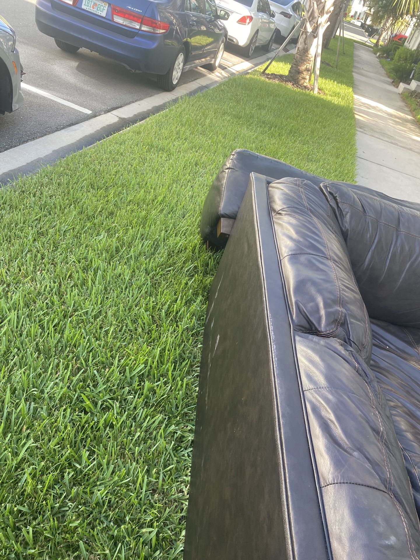 Sectional With Pull Out Bed