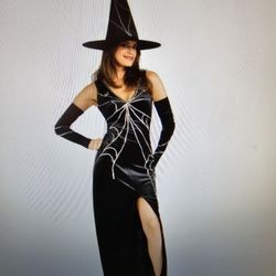 Sequined  *NEW* Spider Web Witch  One Size up To Size 12  $25.    CASH ONLY pls
