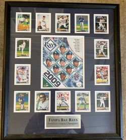 Tampa Bay Rays 09 Championship Roster Cards