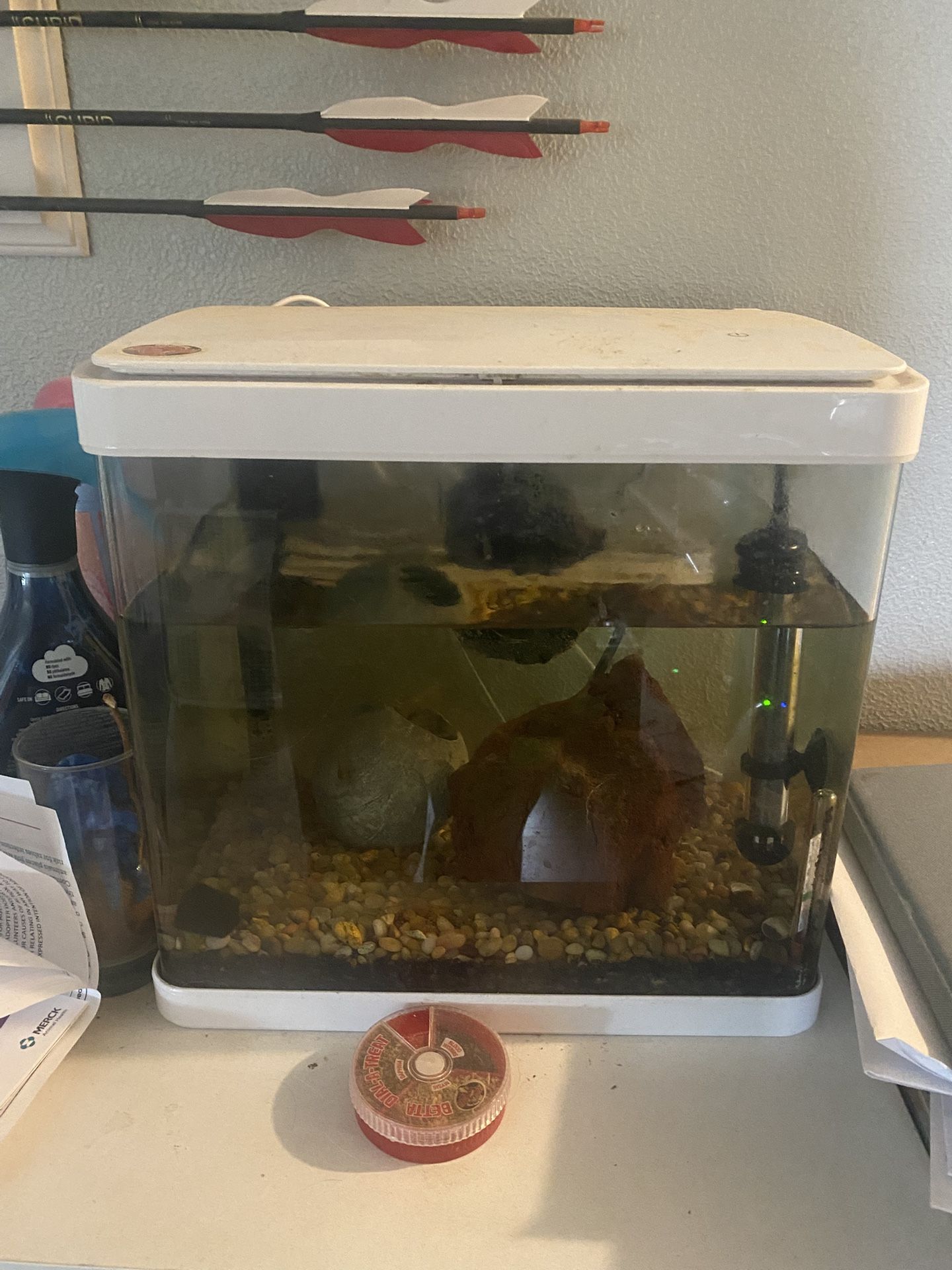 5 Gallon Fish Tank