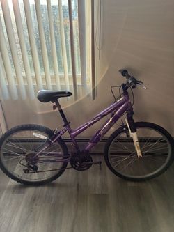Rallye Incline Purple Mountain Bike