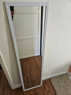 Door Mirror