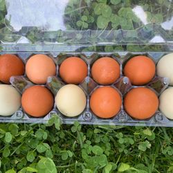 Eggs