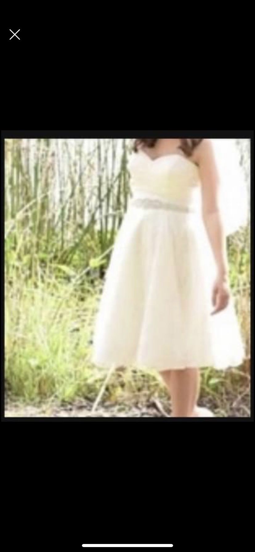 Wedding Belt