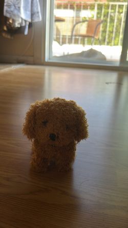 Small Plush Puppy Stuffed Animal (walking dog needs batteries!)