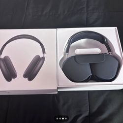 Air Pod Maxes