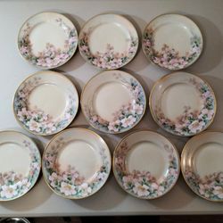 Set of 10 Hand Painted Wild Roses Artist Signed 6.5" Plates