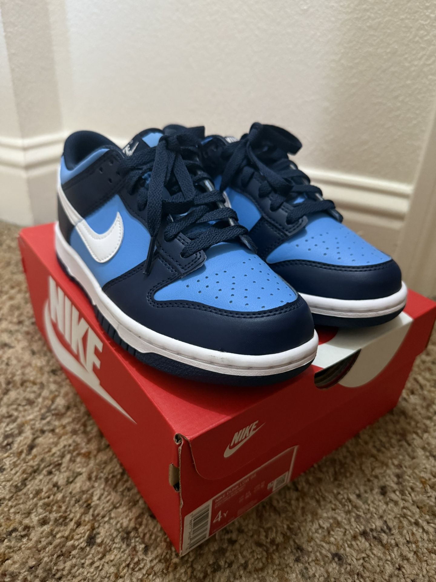 Nike Dunks