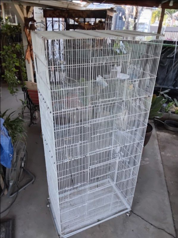 Bird cage