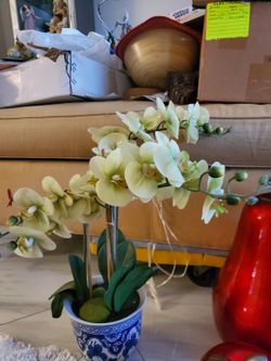 Orchids decoeativ ed flowers. Pretty