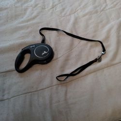 Flexi Retractable Dog Leash.