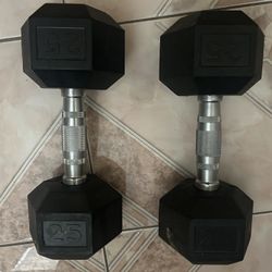 25 Pound dumbbells 