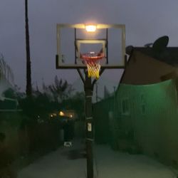 Pro Basketball Hoop,888 Series