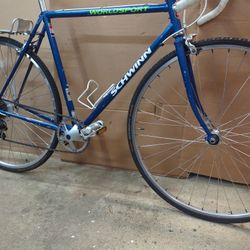 Schwinn Worldsport Custom.