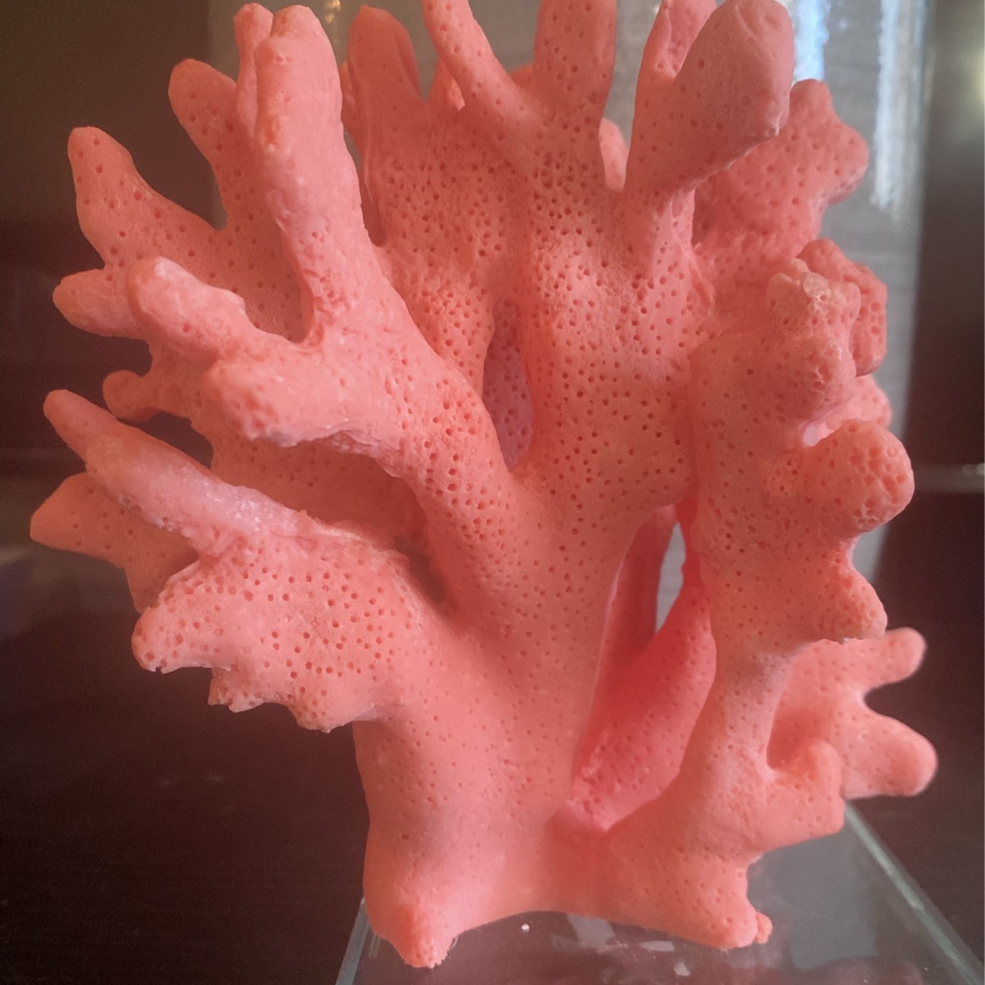 Decorative Coral Stand