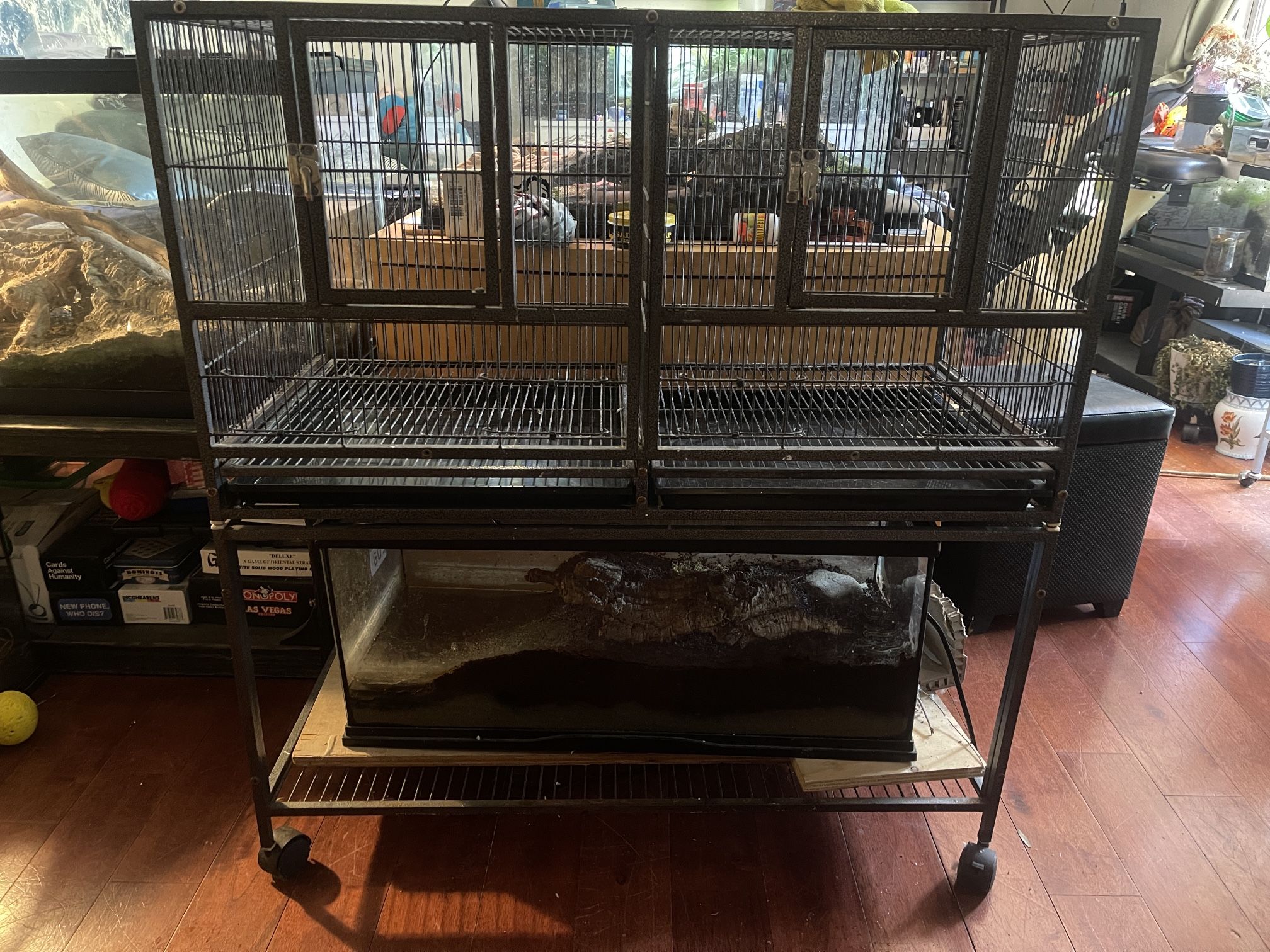 Bird Cage