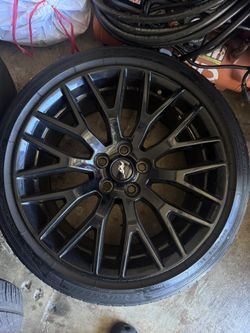 Mustang PP1s