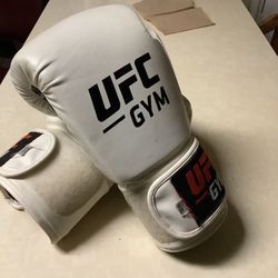 Boxing Gloves 14 Oz