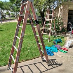 Werner Professional Ladder 