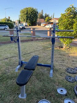 Bench/Squat Rack