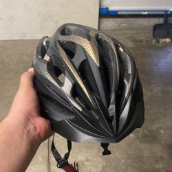Biker Helmet