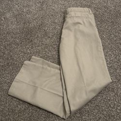 Dickies Regular Fit Pants