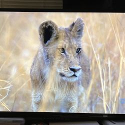 40” Flatscreen Roku TV