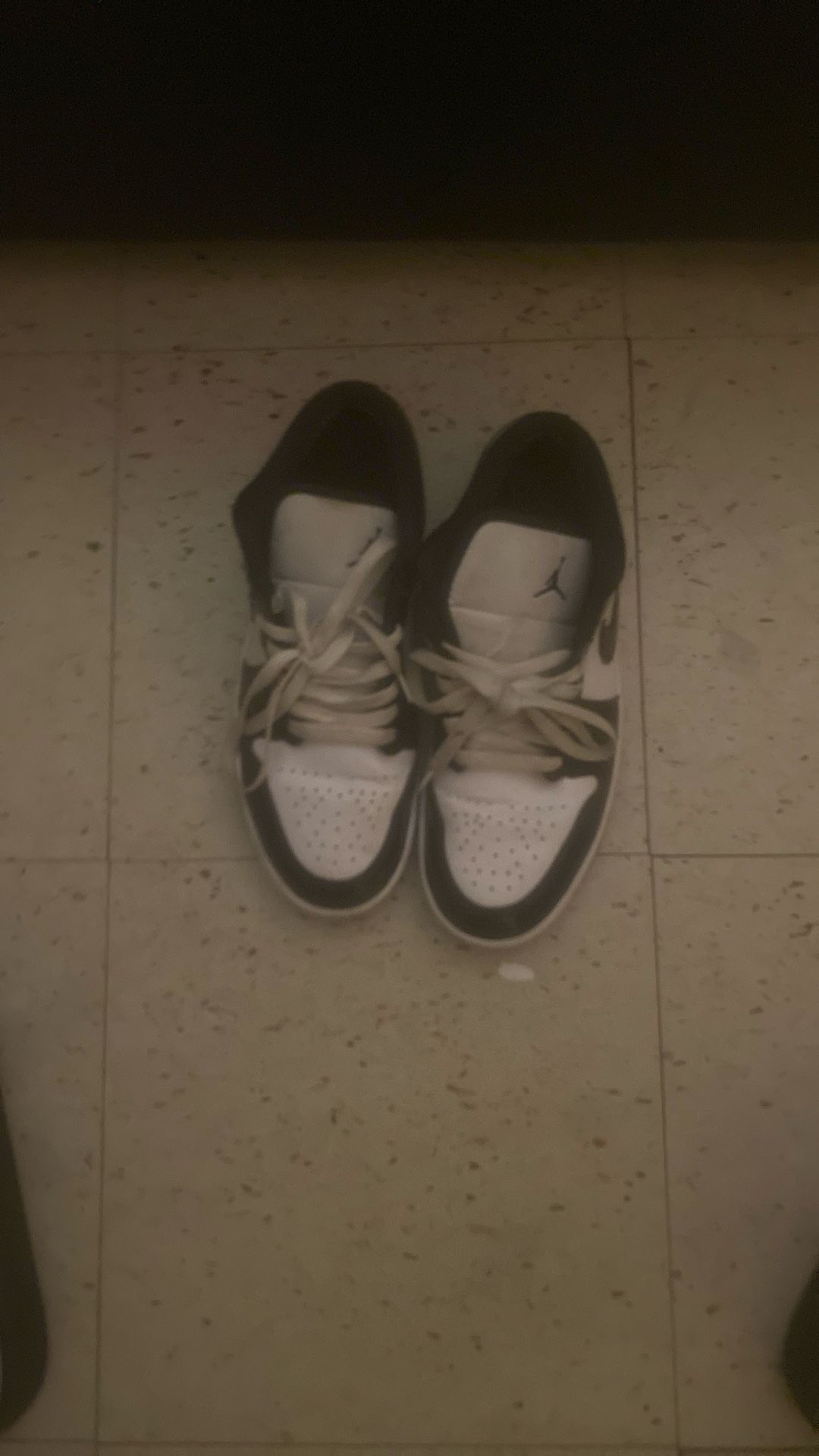 Nike Men's Dunk Low Retro SE Sneakers